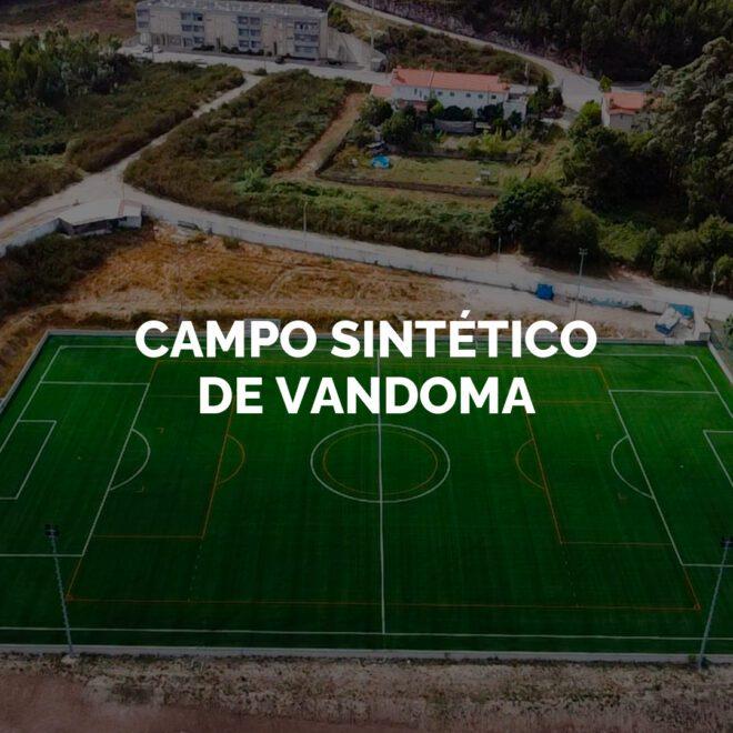 CAMPO-SINTETICO-DE-VANDOMA-660x660-1.jpg